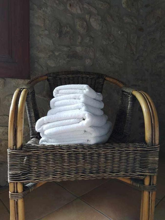 Mas Planella Casa Rural Mieres  Esterno foto